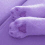 Paws